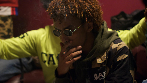plad finesse daily discovery candid