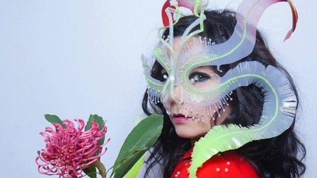 Bjork Pens Open Letter