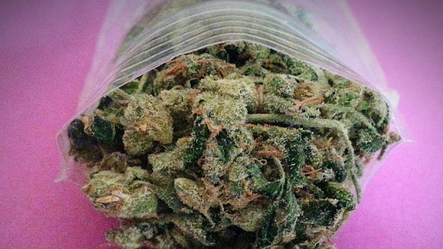 Cannabis In Plastic Bag Against Colored Background