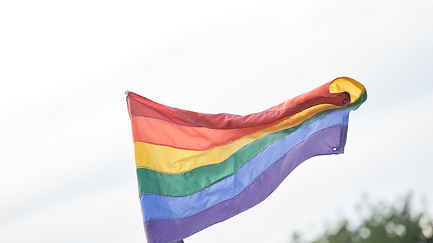The rainbow flag is seen during the 2016 Electric Zoo Festival