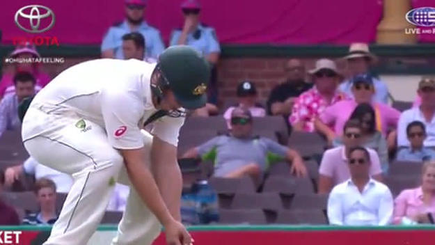 A cricket player gets smoked, full flush, in the balls.