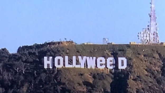 hollyweed