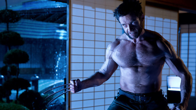 Hugh Jackman as Wolverine