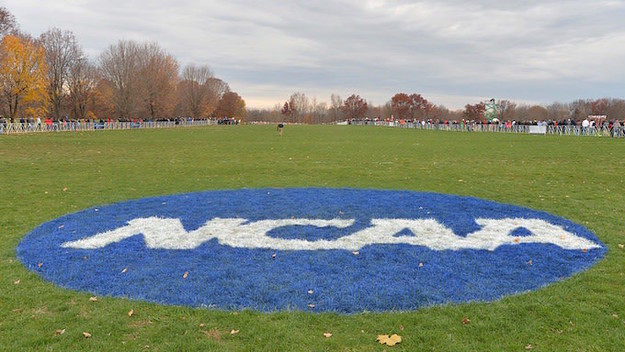ncaa logo