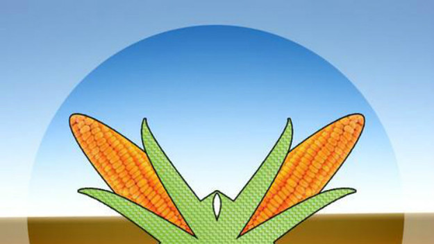 miami mais logo