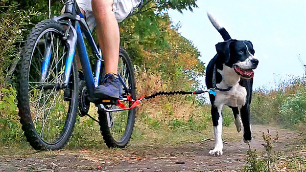 Dogger Jogger Lead