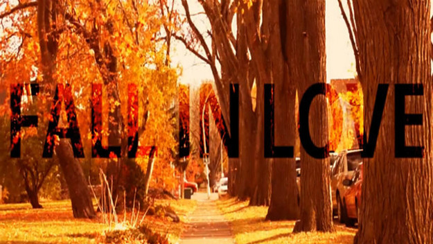 knight riderz fall in love