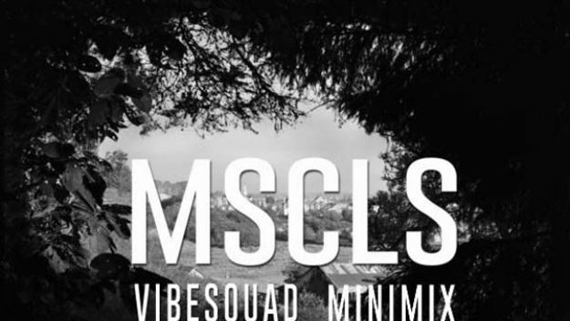 Vibesqaud mix