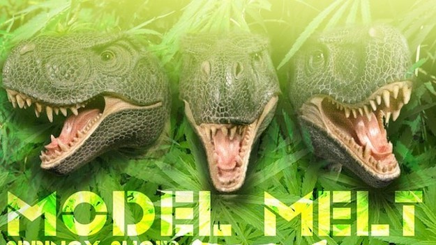 MODEL MELT SPRINGY SHOES ZILLA REMIX copy