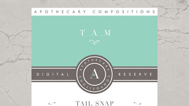 tam tain snap cover