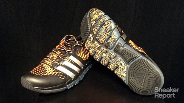 CrazyQuick Training 2