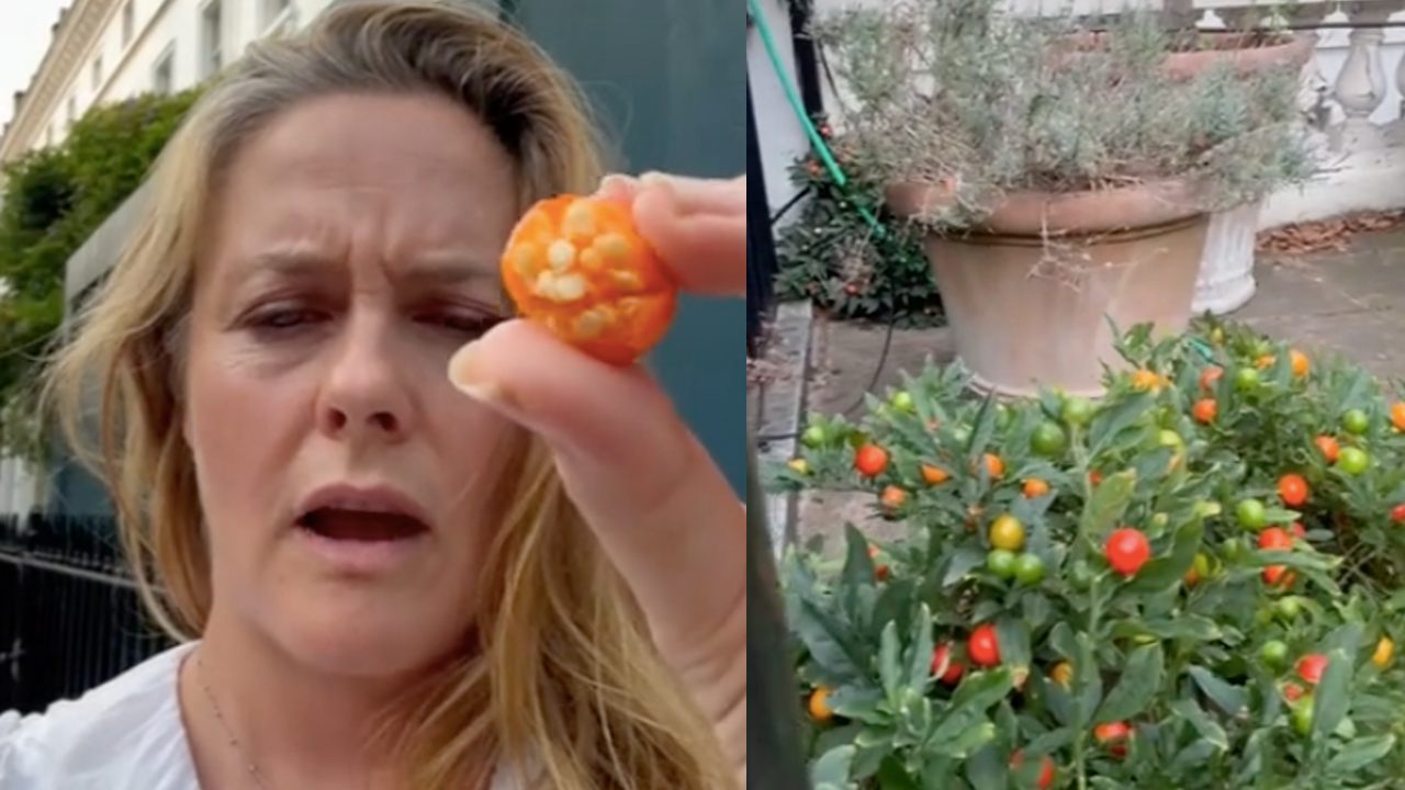 Alicia Silverstone is seen holding fruit