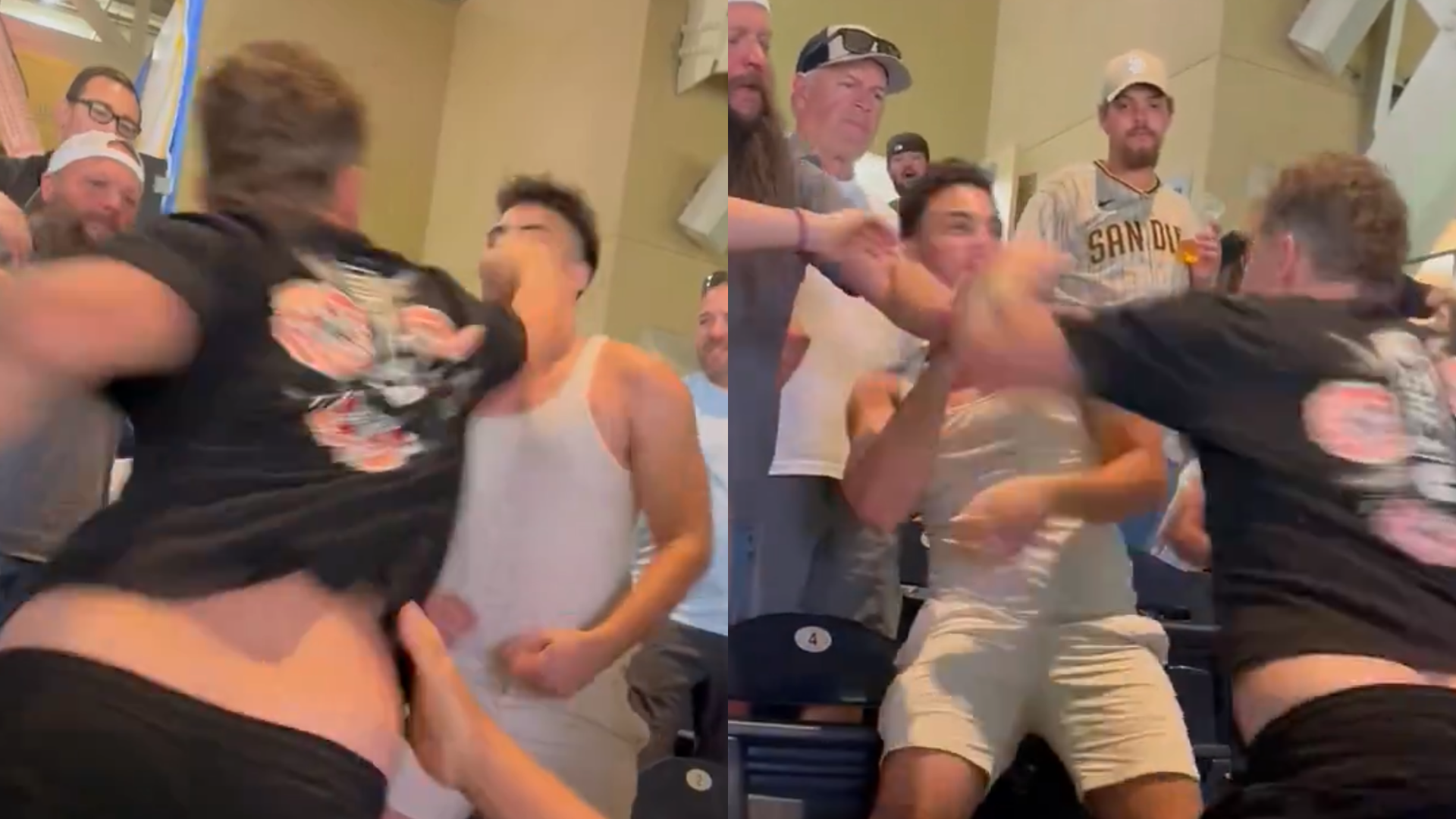 Two fans fighting during a baseball game.