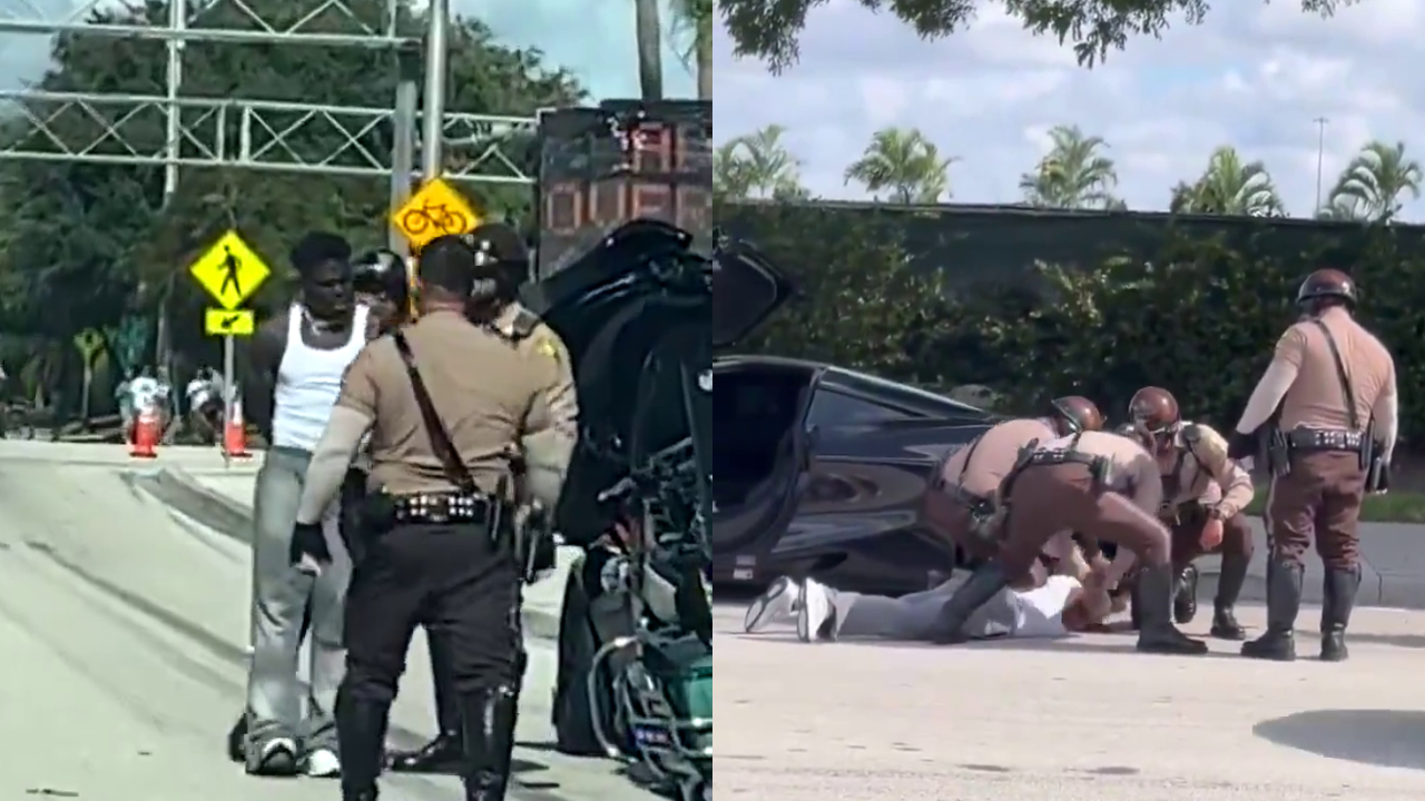 Split image. Left: Anna Delvey in court. Right: Delvey posing in a dress and ankle monitor for "Dancing With the Stars"