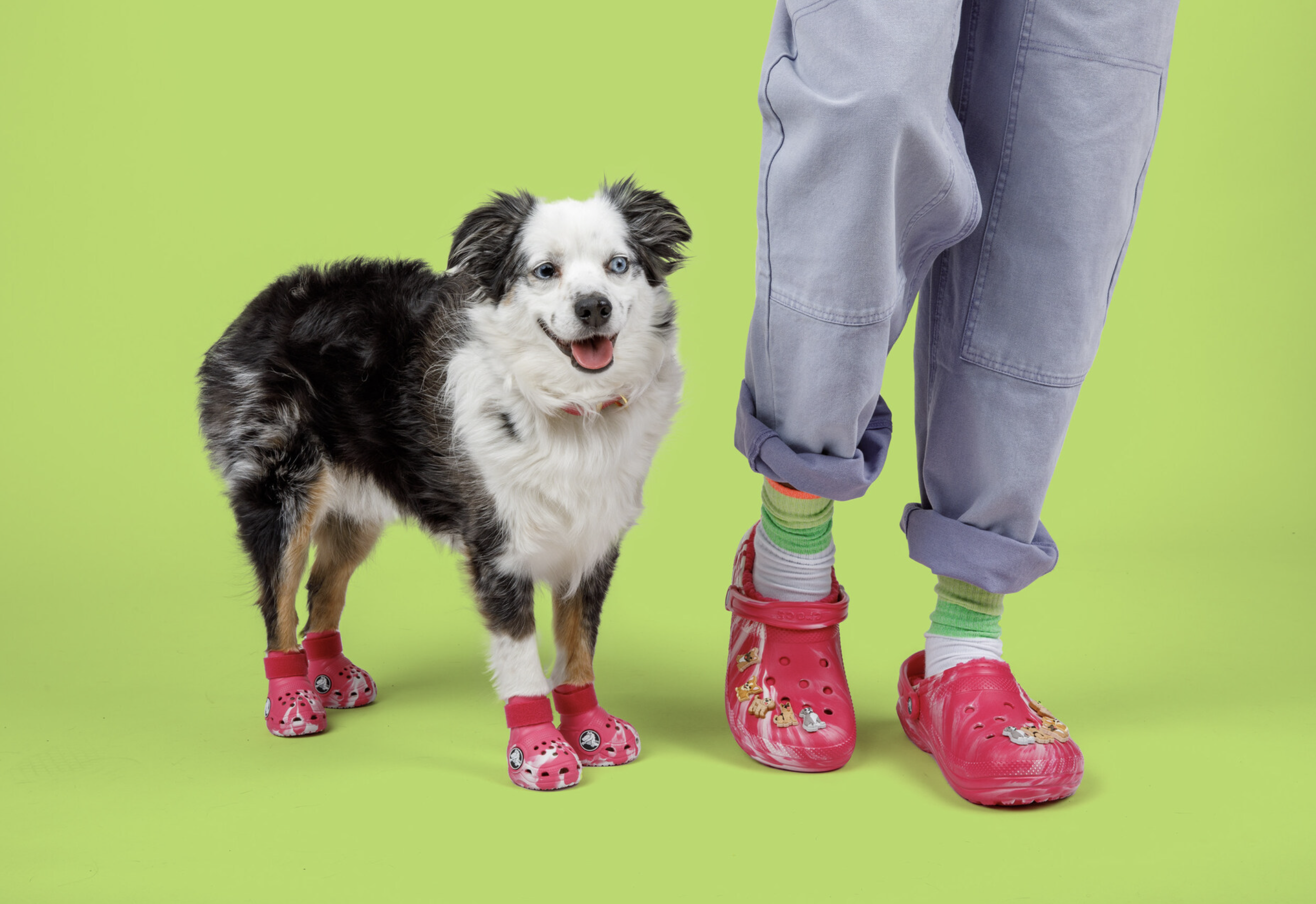 Pet Crocs Boots