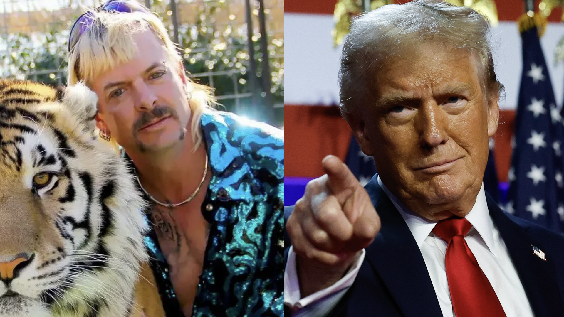 Joe Exotic seeks pardon from Donald Trump