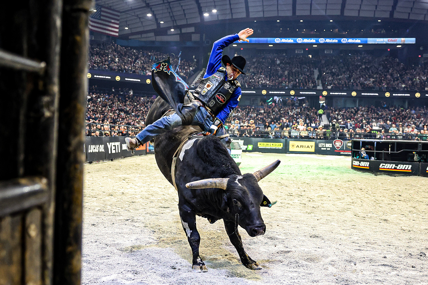 A bull rider in a rodeo arena, wearing a blue shirt and cowboy hat, rides a black bull. The audience watches from the stands.