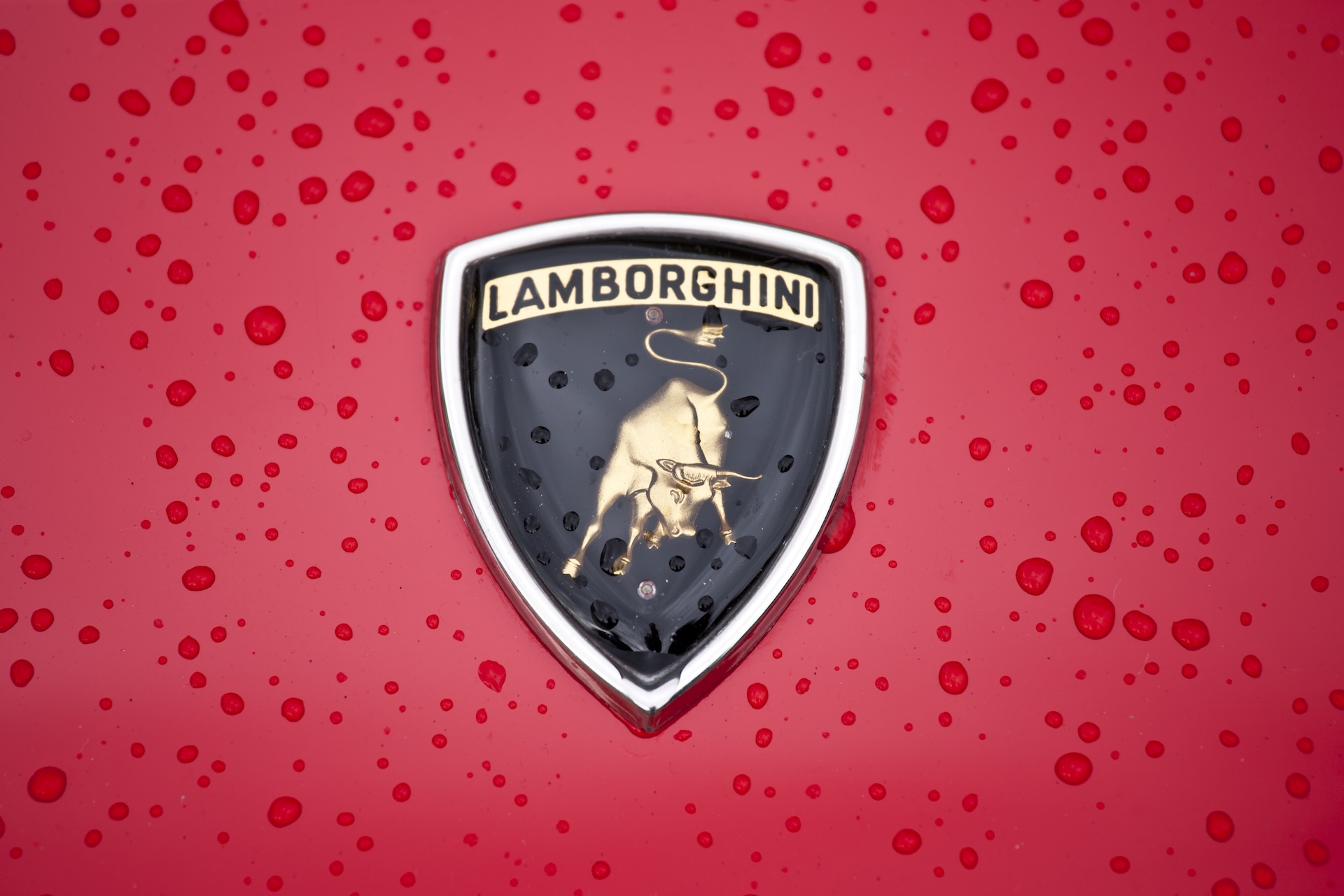 Lamborghini logo on a red surface with water droplets. The emblem features a golden bull on a black background.