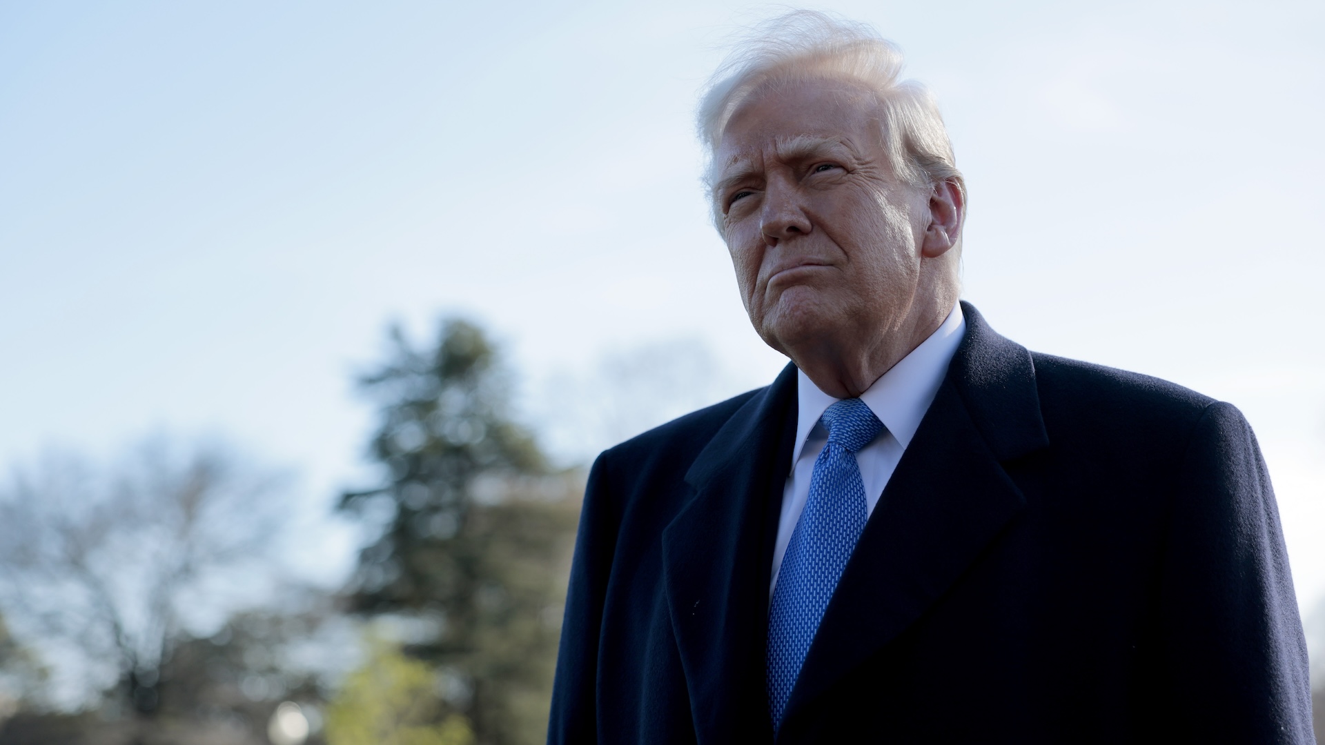 Donald Trump's portrait