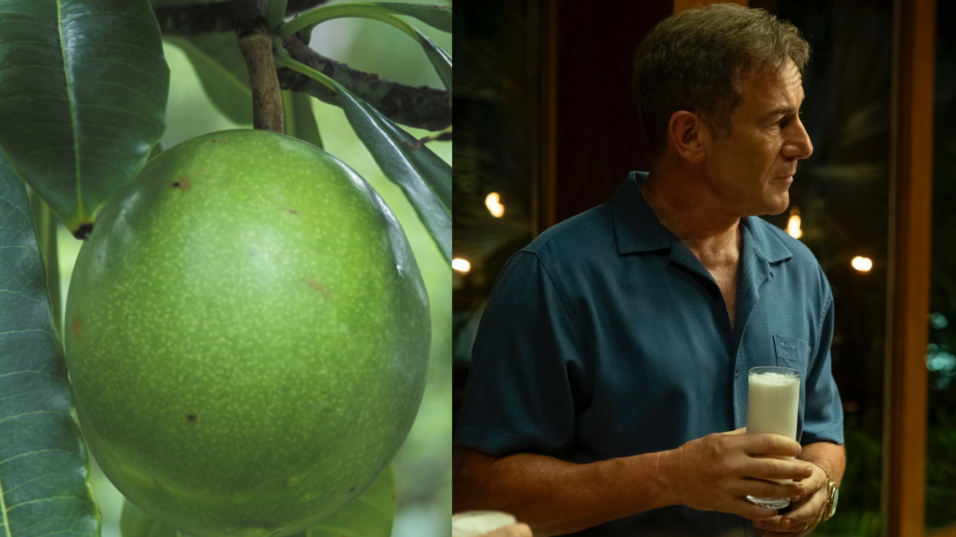A green fruit on a tree next to Jason Isaacs' White Lotus character in a blue shirt holding a glass, standing indoors.