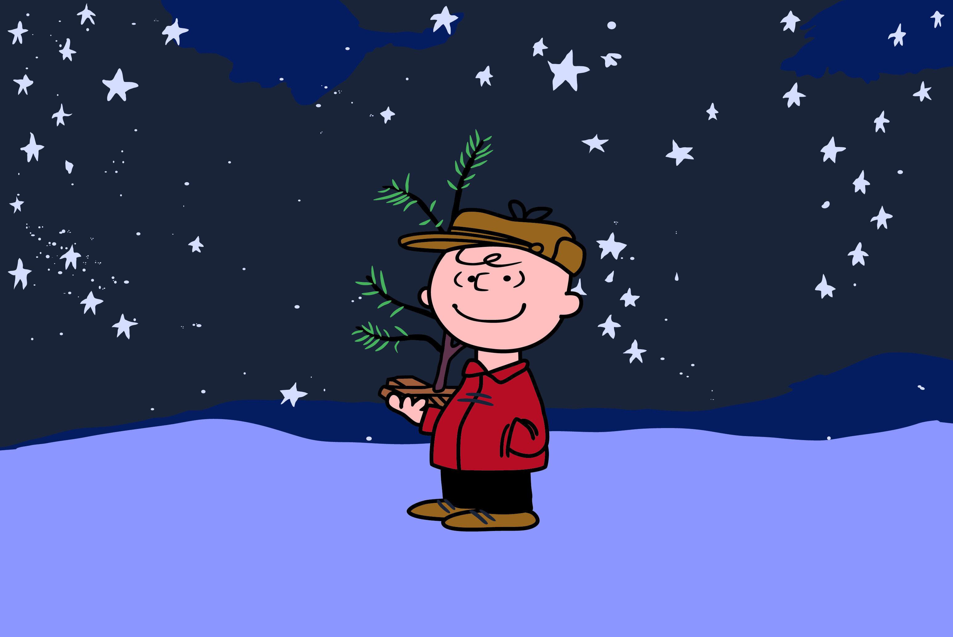 Charlie Brown from "Peanuts" stands in the snow holding a small, sparse Christmas tree under a starry night sky.