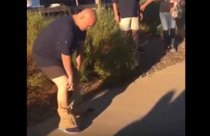 Cowboys fan gets knocked out by Giants fan.