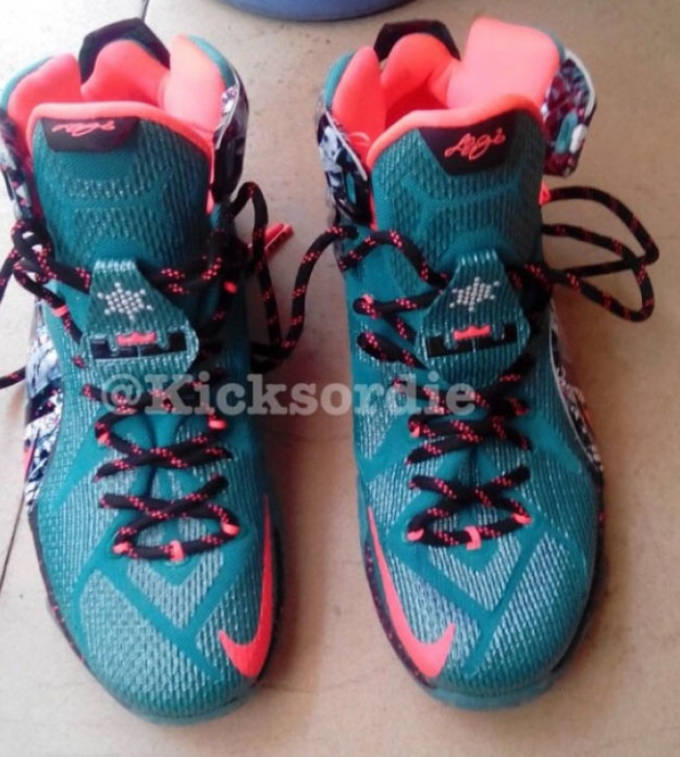 lebron south beach 12