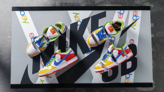 Ebay Nike SB Dunk Collectors Box Auction