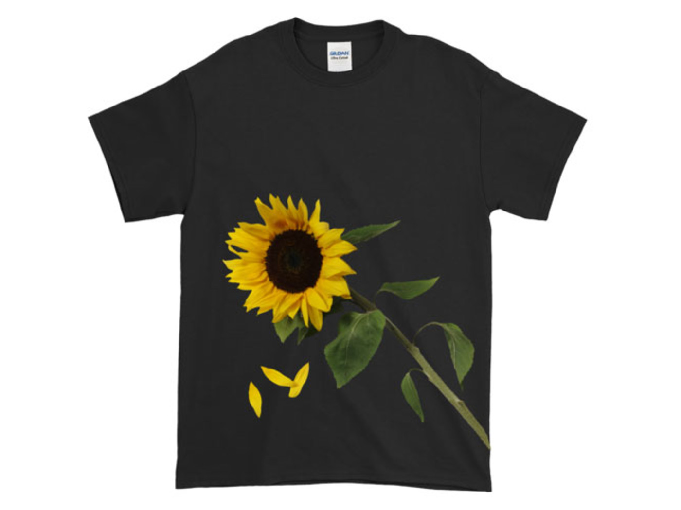 25 Of Our Favorite Music Merch Items You Can Buy Right Now Complex