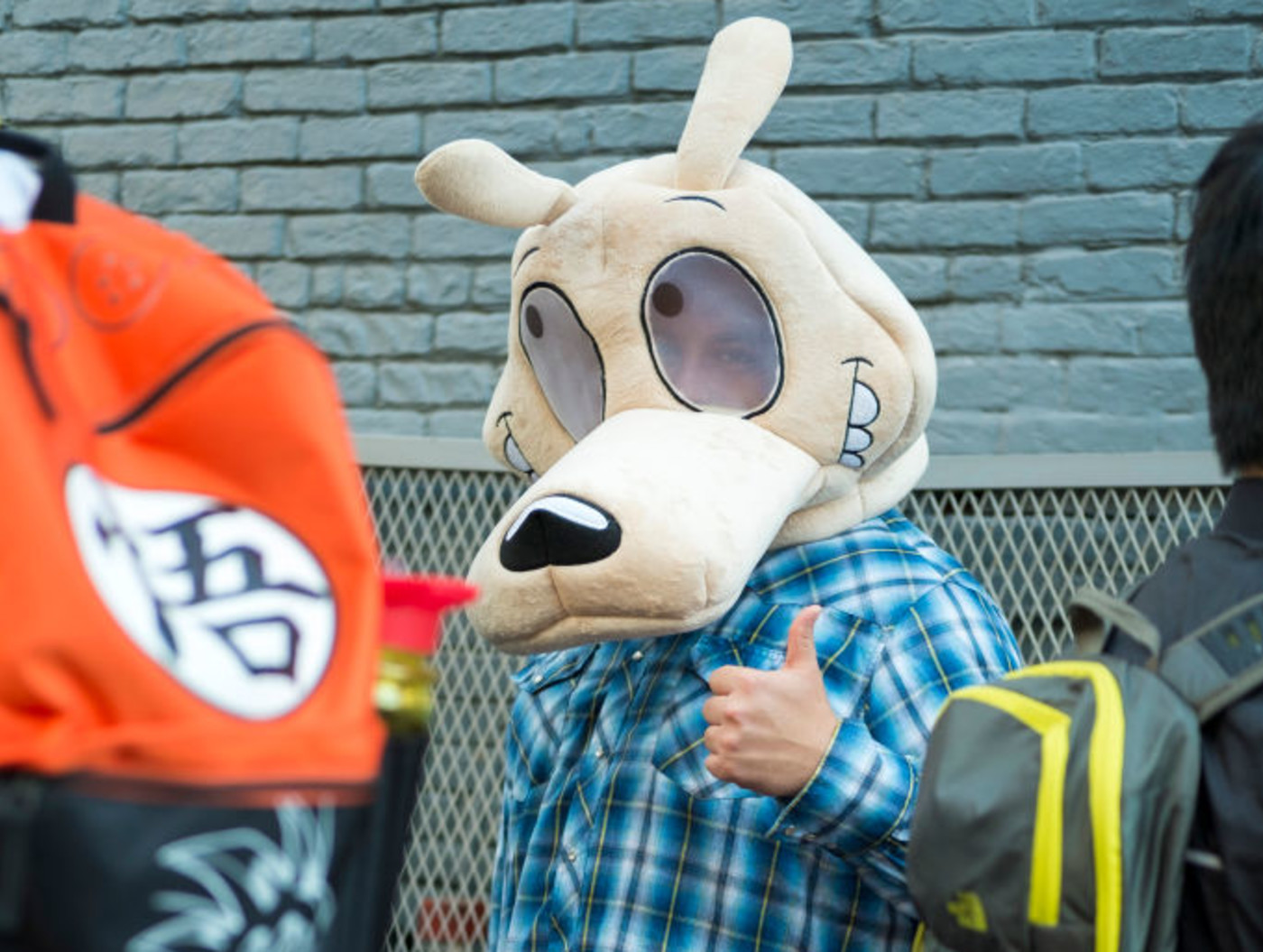 best nickelodeon shows rockos modern life costume