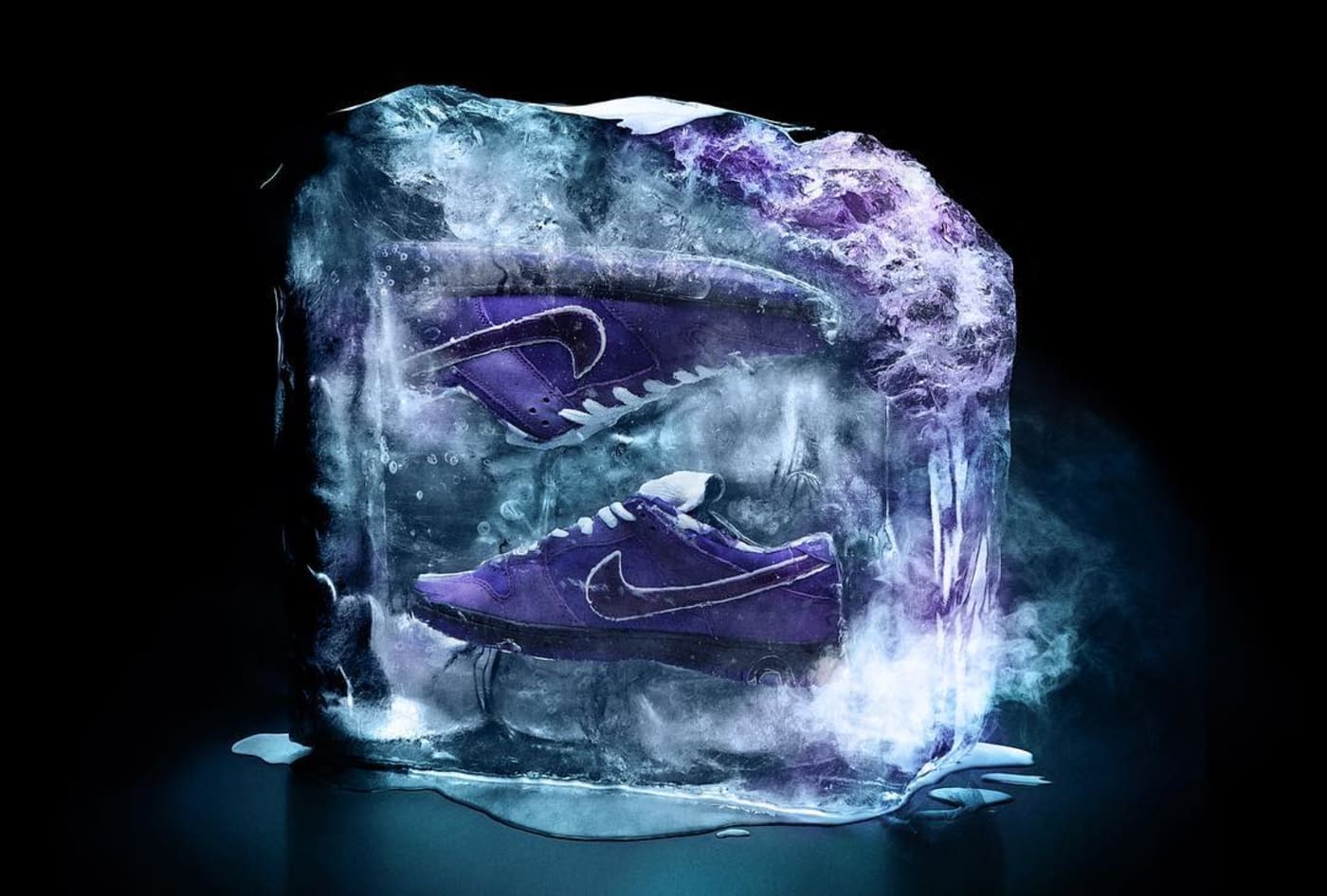 Concepts x Nike SB Dunk Low Purple Lobster Release Date Ice