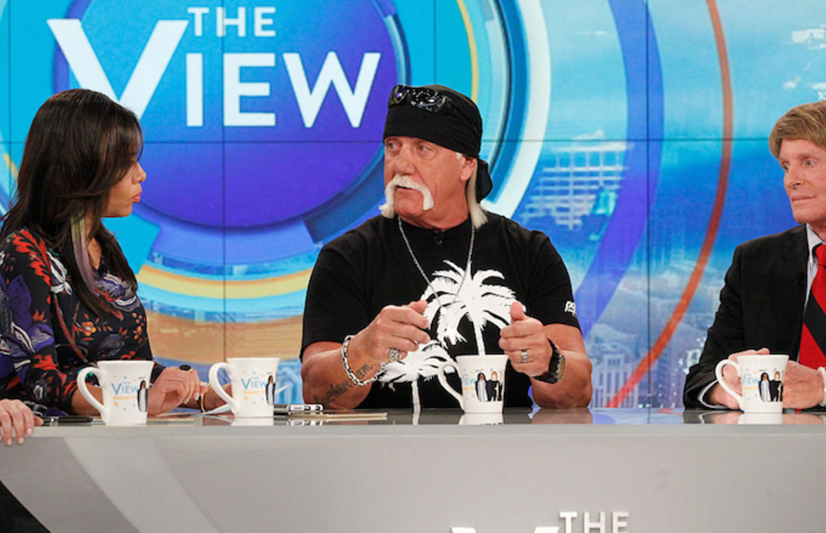 Hulk Hogan Is Suing More People Over His Sex Tape Complex