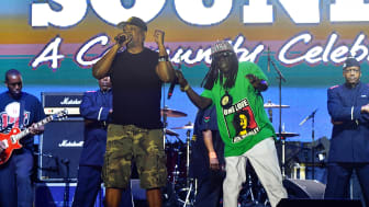 flavor-flav-chuck-d-hoax