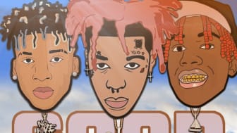 Nle Choppa Complex