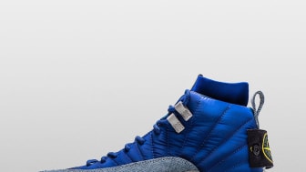 drake jordan 12