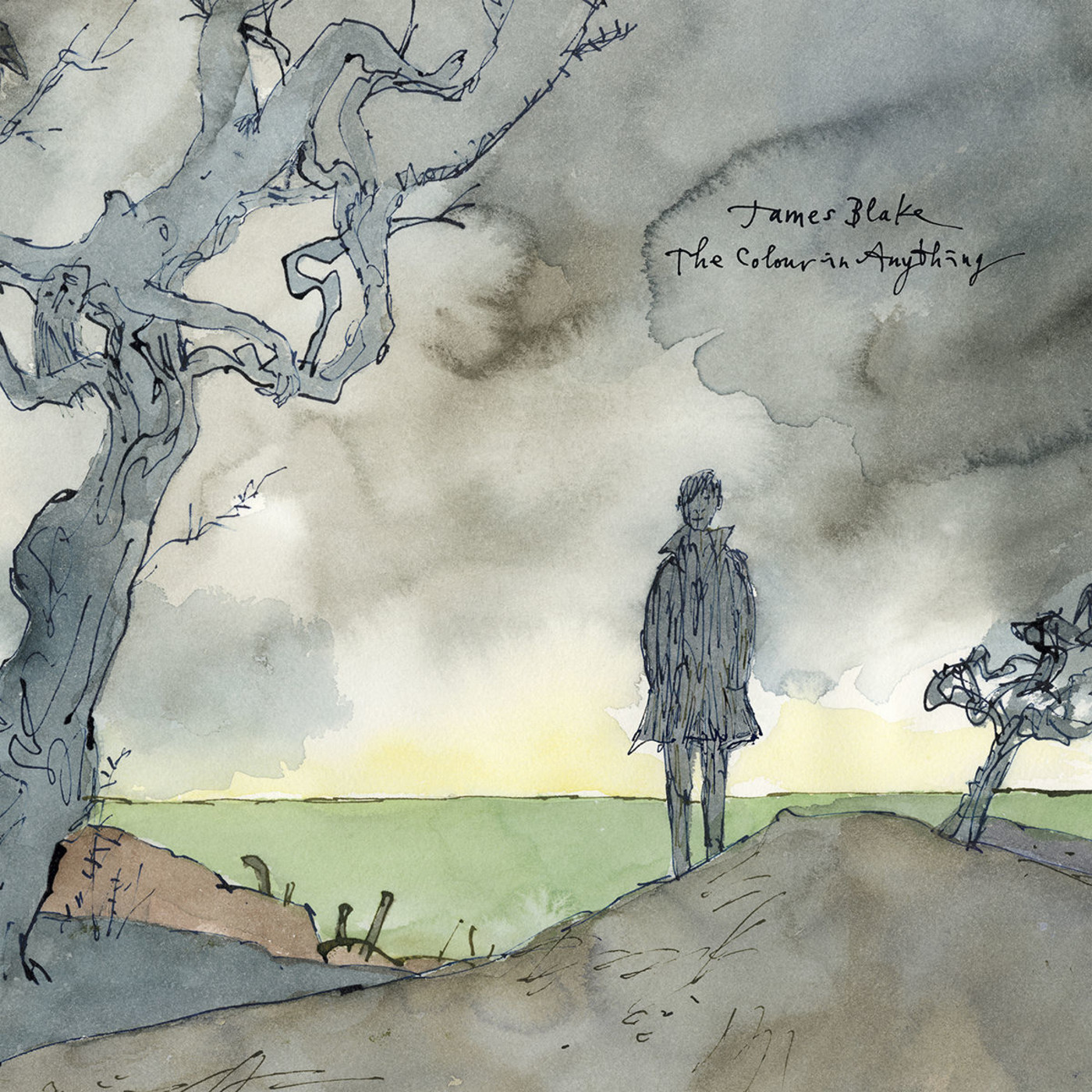 James Blake James Blake Assume Form Vinyl 2lp Amazon Com Music