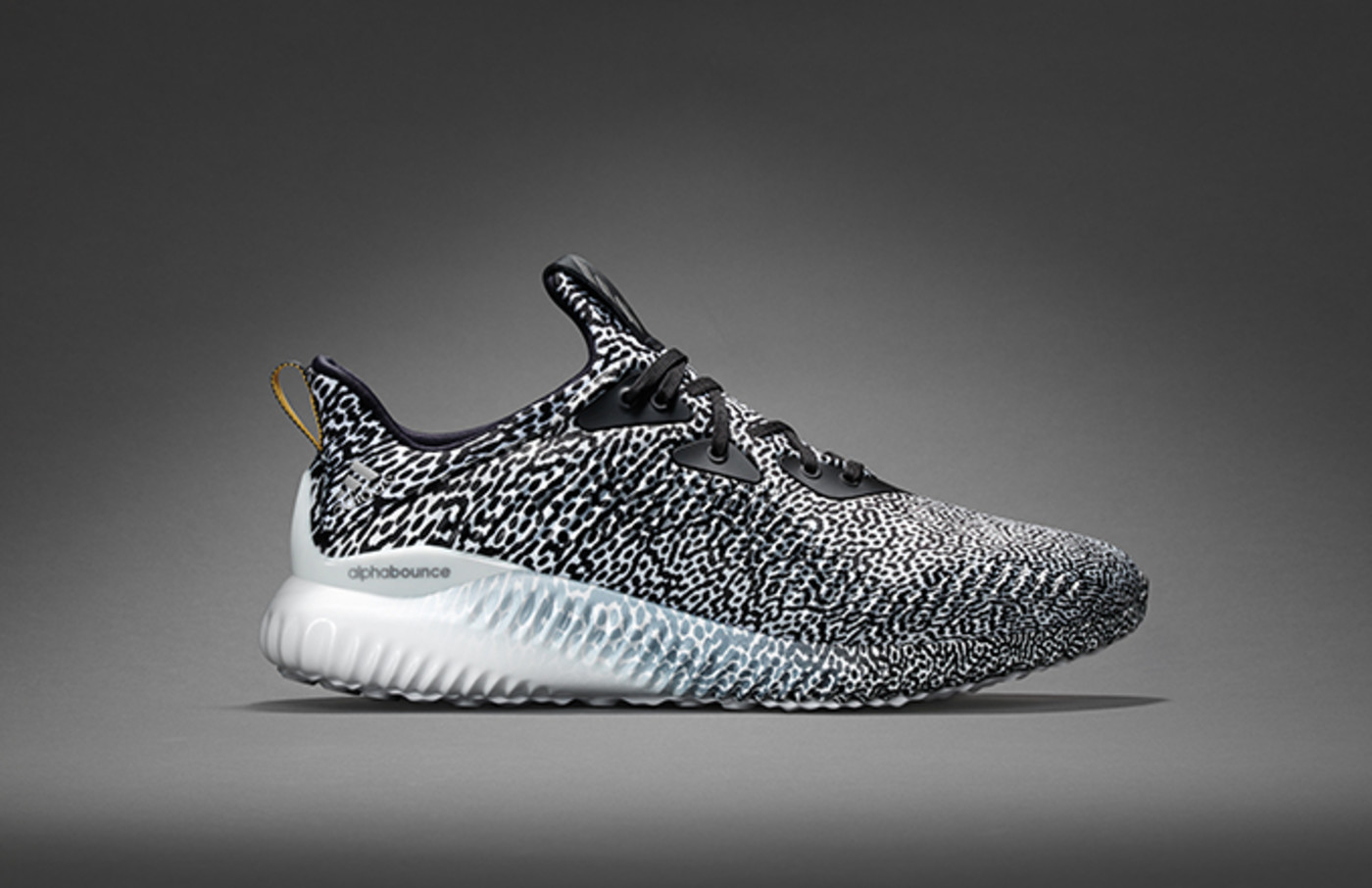 Adidas shoes essay discount