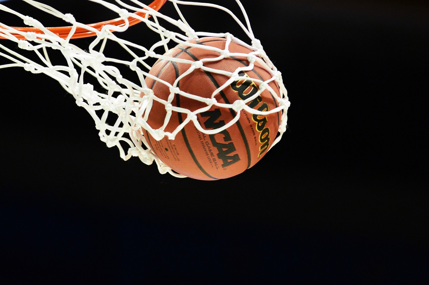 Evolution Game Basketball - Wilson Sporting Goods