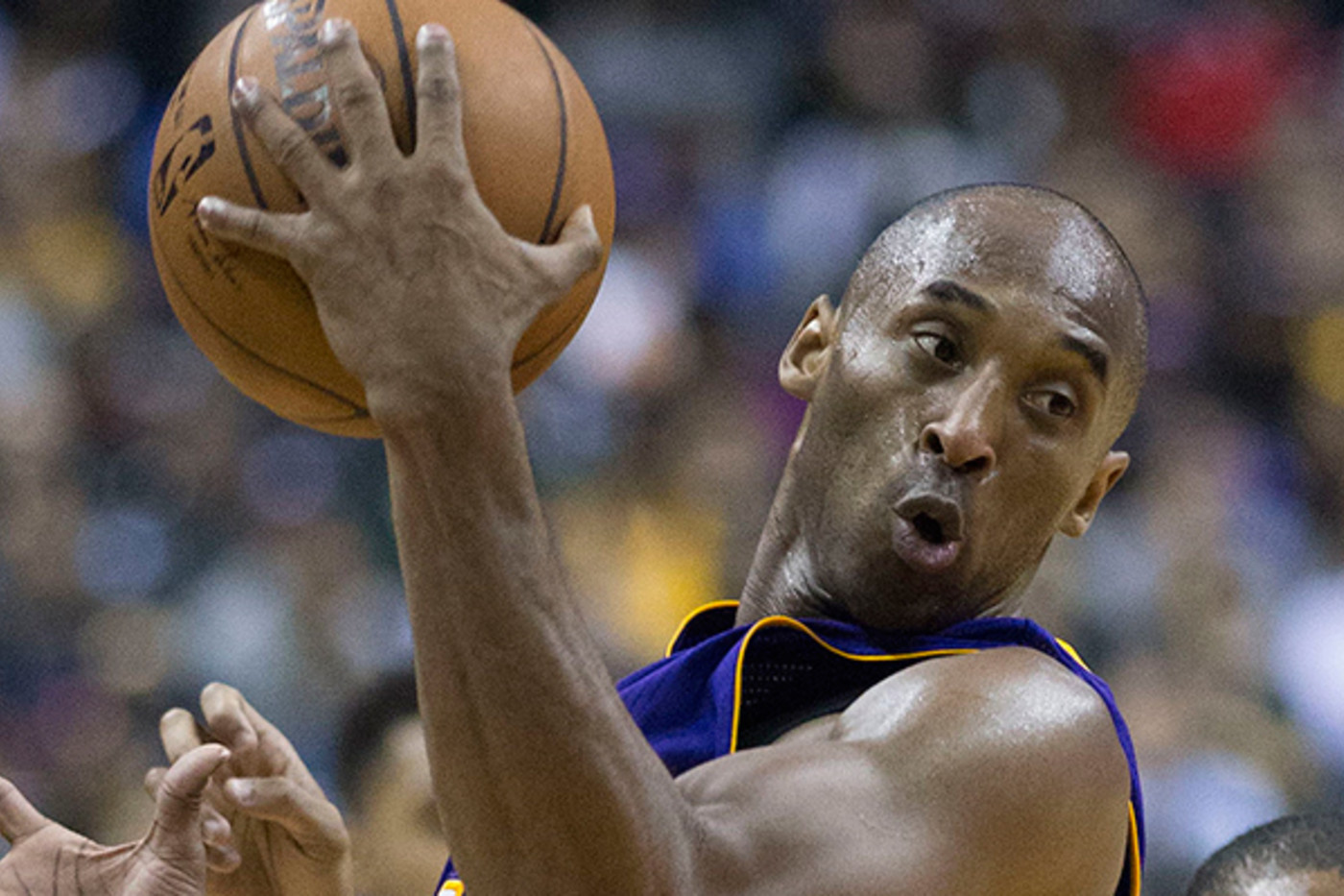kobe in adidas