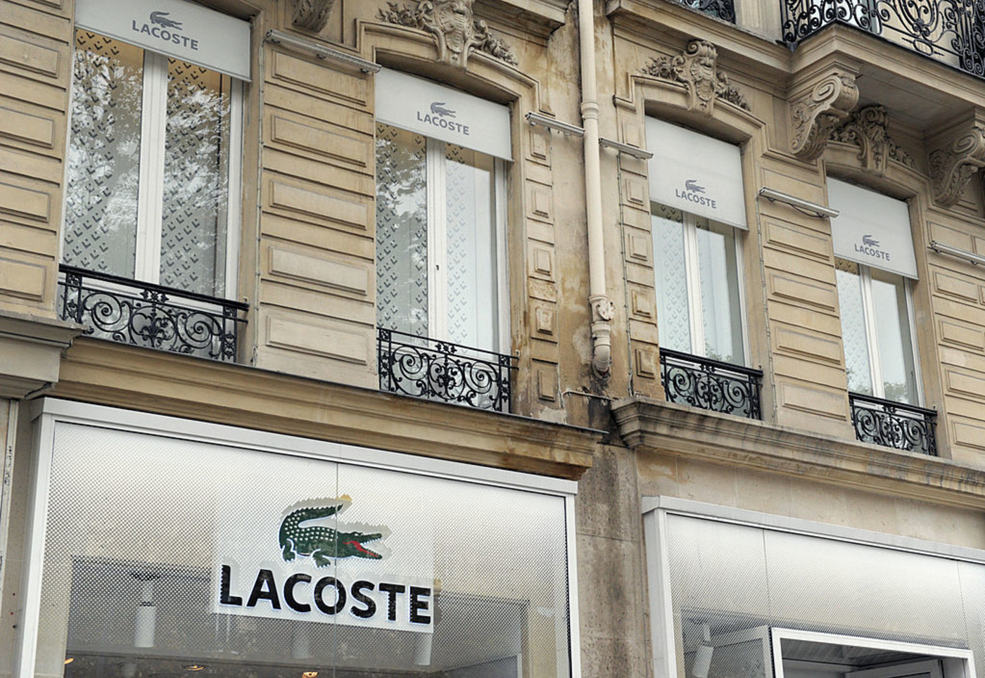 lacoste similar brands