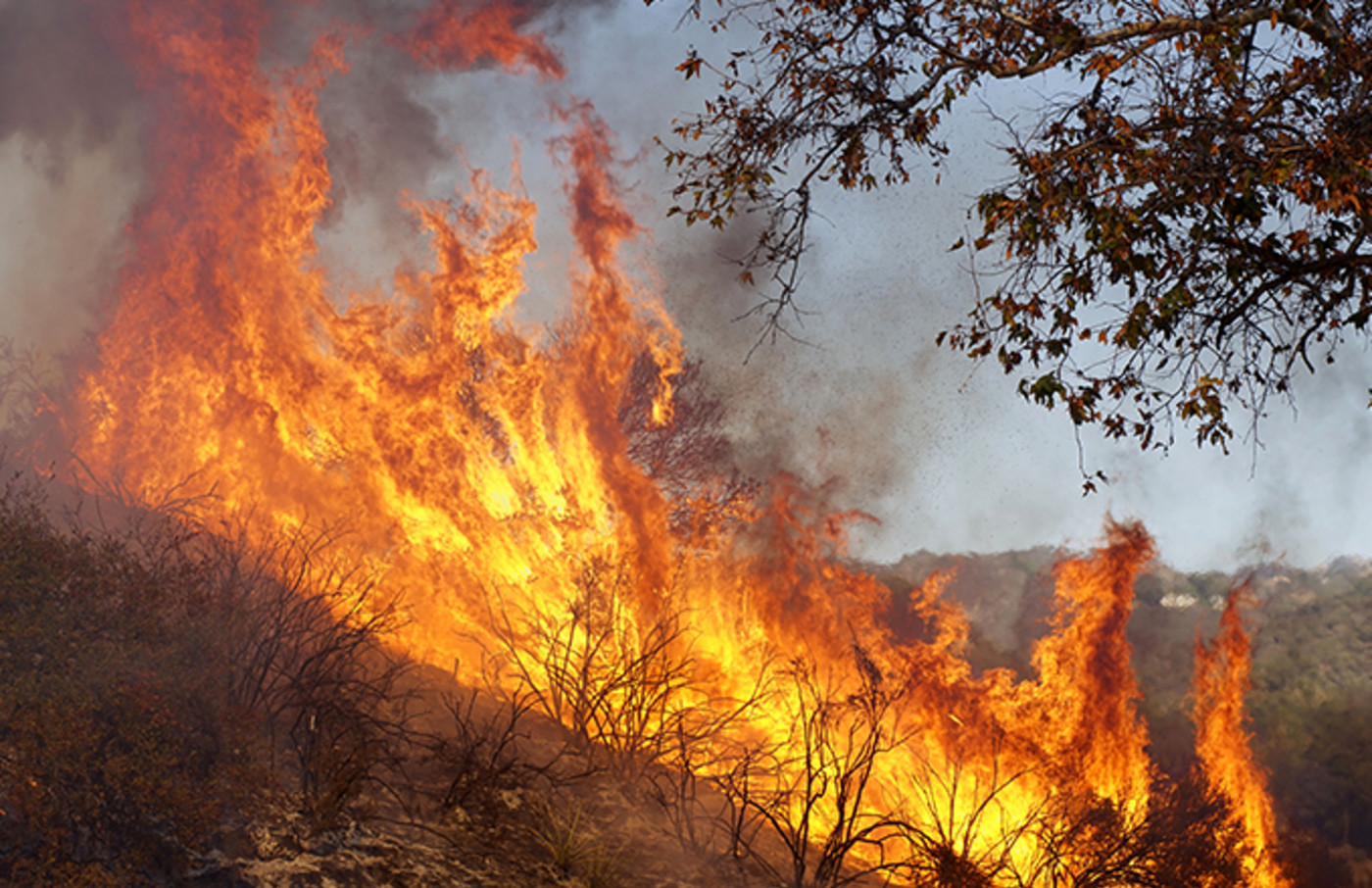 Miley Cyrus Dame Dash Among Celebs Who Lost Their Homes In California Wildfires Complex