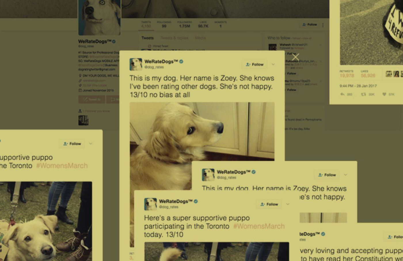 A 14 10 Interview With The Guy Behind The Amazing We Rate Dogs Twitter Account Complex The account was started in 2015 by college student matt nelson, and has received international media attention both for its popularity and for the attention drawn to social media copyright law when it was. guy behind the amazing we rate dogs