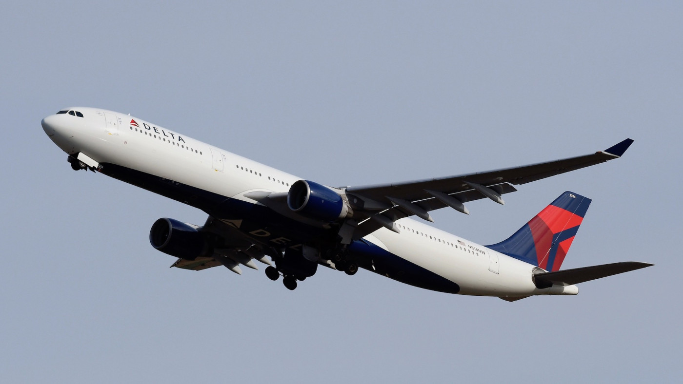 woman reportedly caught breastfeeding hairless cat on delta flight complex