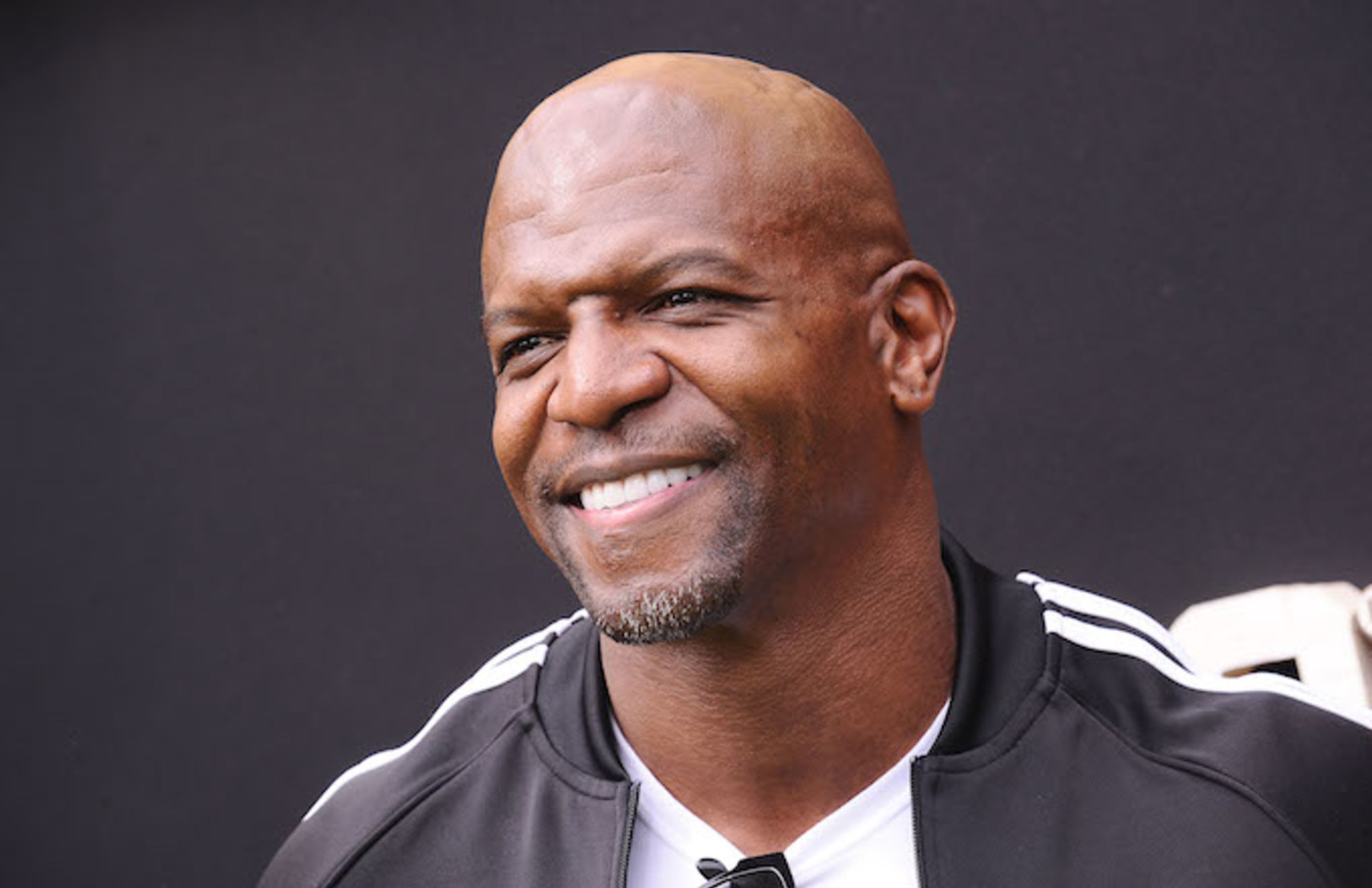 Terry Crews Best Roles Complex