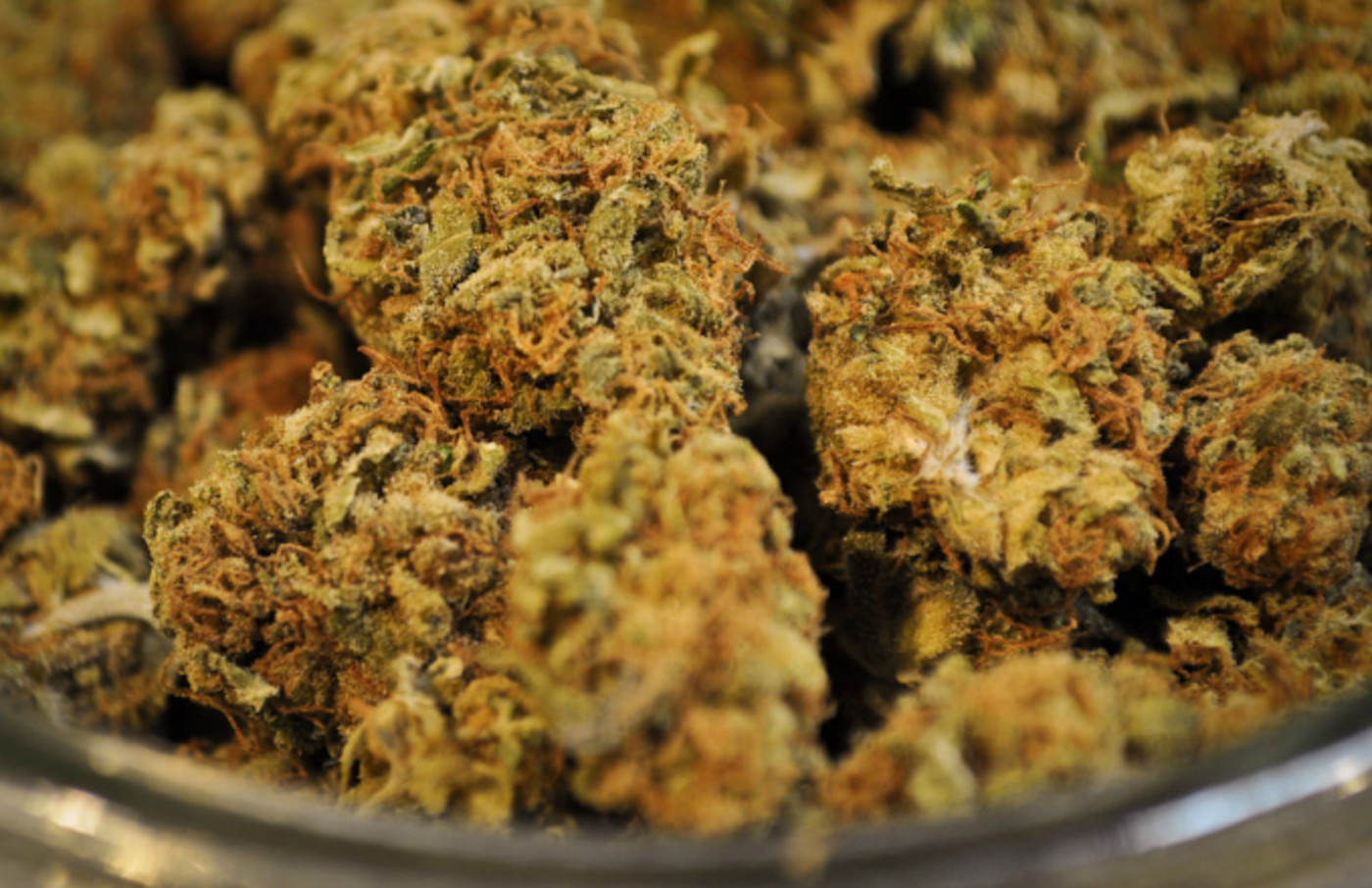 This Beautiful Weed Bouquet Is The Perfect Valentine S Day Gift For Toking Romantics Complex Valentine's day can often go perfectly right or horribly wrong. this beautiful weed bouquet is the