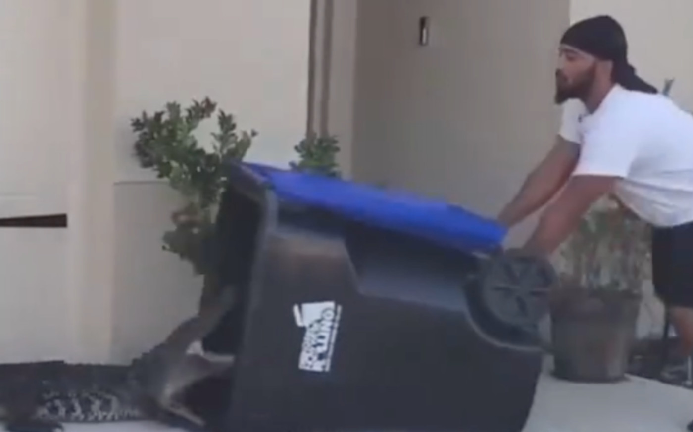 People Are Loving Video of Florida Man Capturing Alligator in Trash Can |  Complex