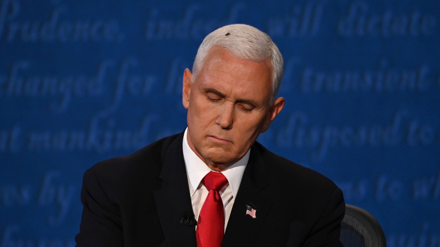 Giant Fly Lands on Mike Pence's Head During Vice Presidential Debate | Complex
