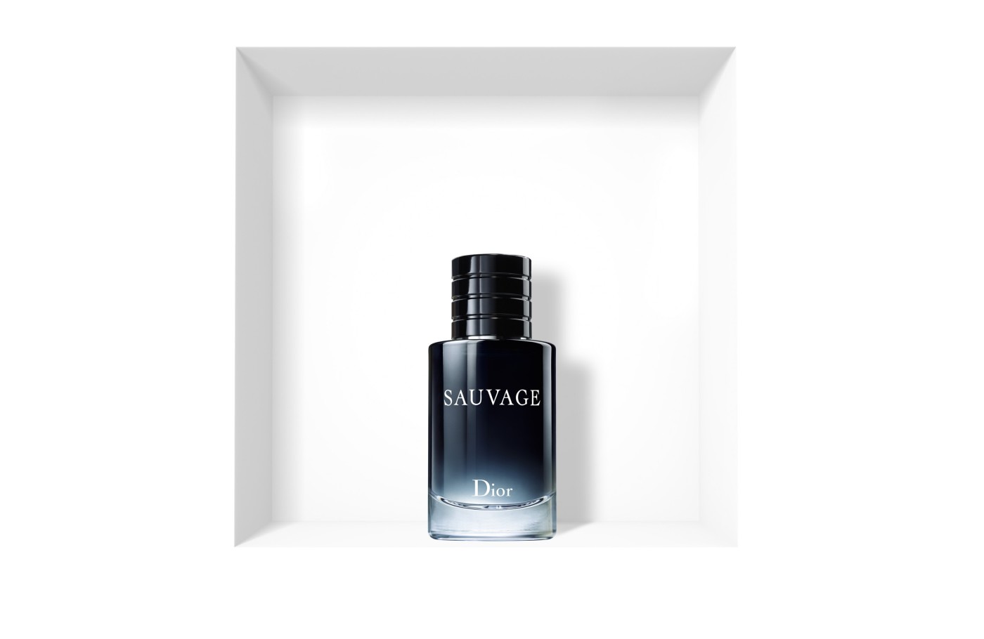 The Best Winter Colognes Complex