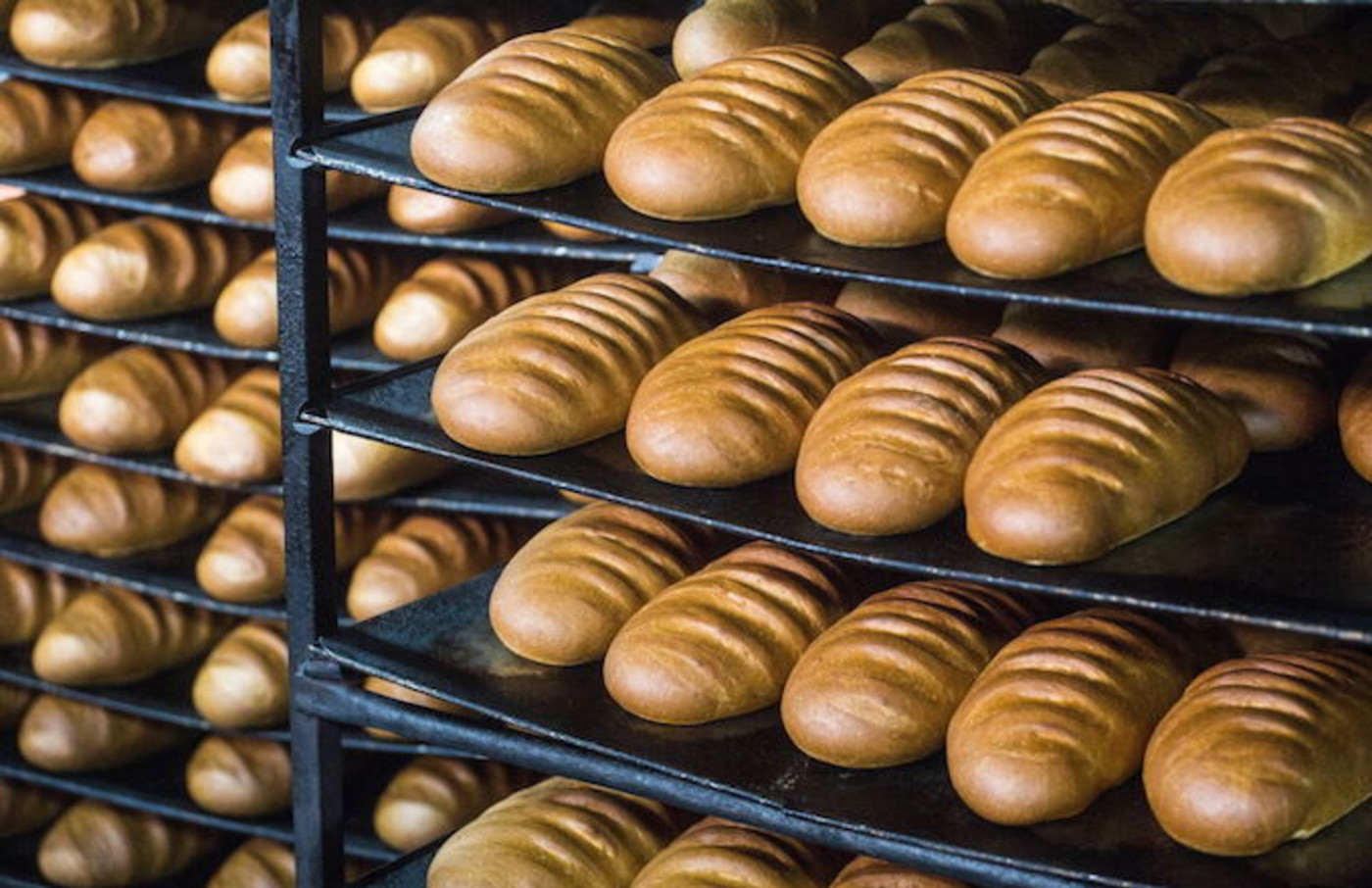 The Let S Get This Bread Meme Is Here To Stay Complex