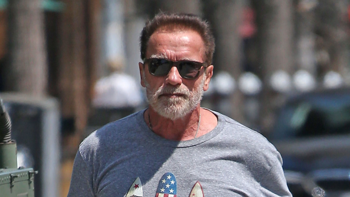 Arnold Schwarzenegger Rebukes Trump For Capitol Riot Complex